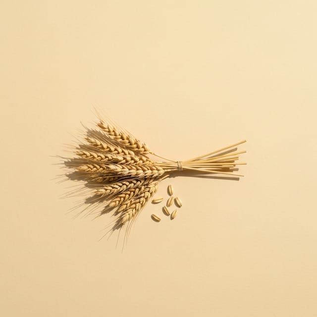 Whole grains, a natural source of B Vitamins